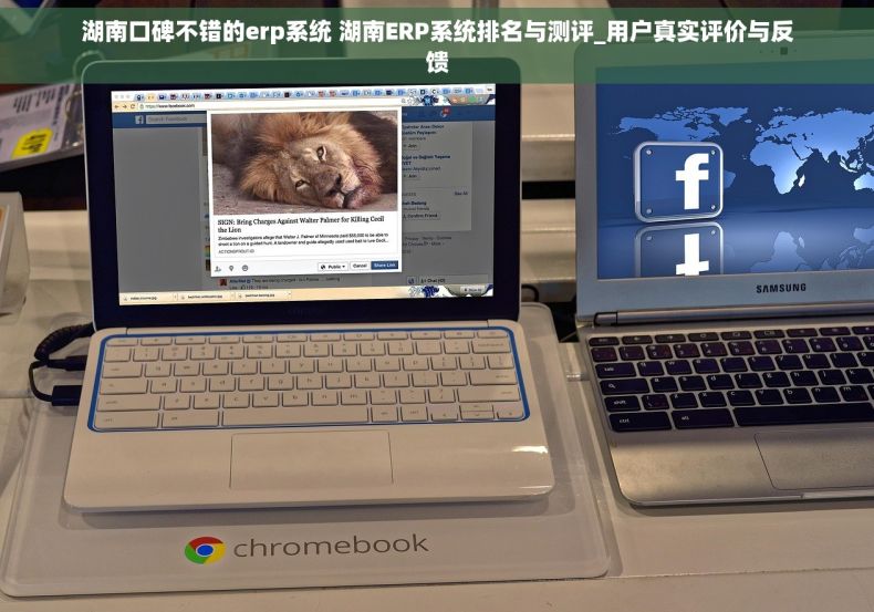 湖南口碑不错的erp系统 湖南ERP系统排名与测评_用户真实评价与反馈