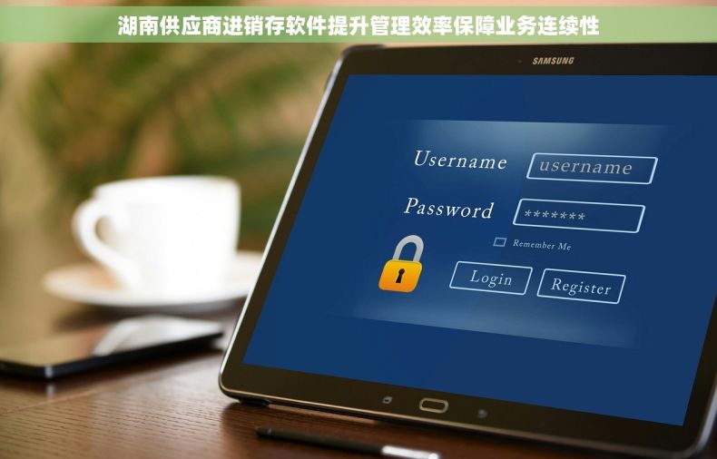 湖南供应商进销存软件提升管理效率保障业务连续性