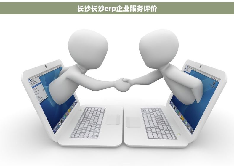 长沙长沙erp企业服务评价
