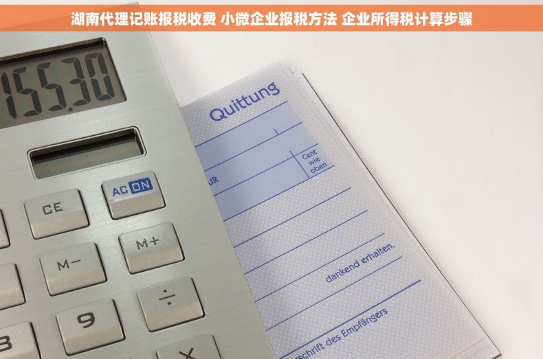 湖南代理记账报税收费 小微企业报税方法 企业所得税计算步骤