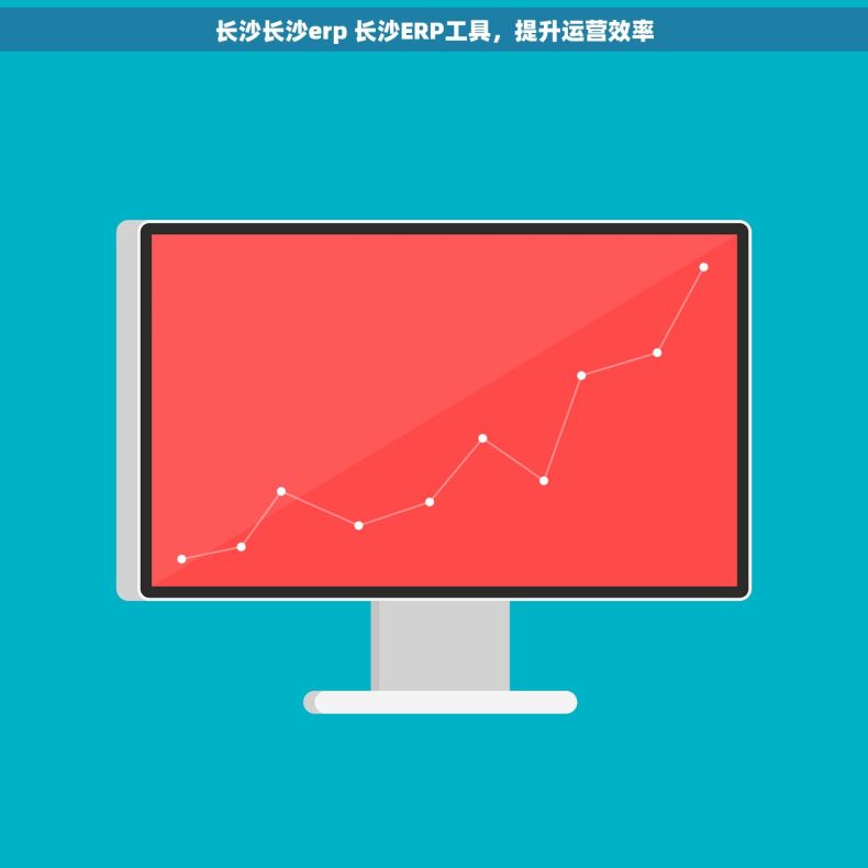 长沙长沙erp 长沙ERP工具，提升运营效率