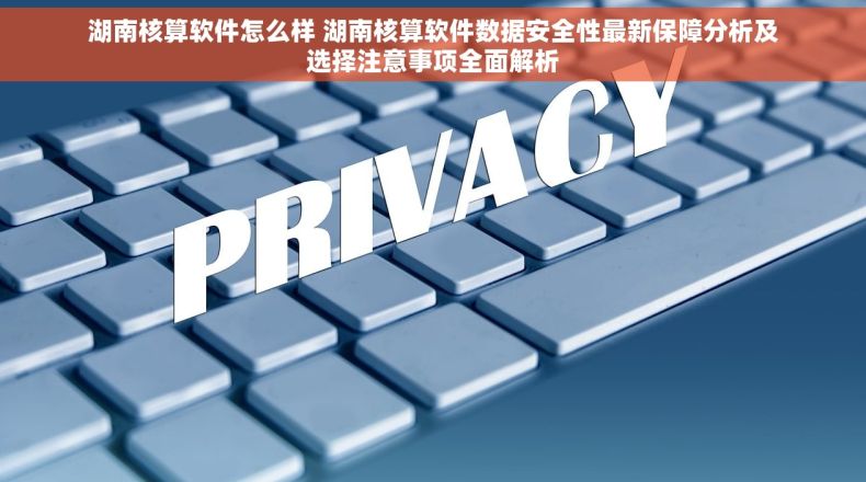 湖南核算软件怎么样 湖南核算软件数据安全性最新保障分析及选择注意事项全面解析
