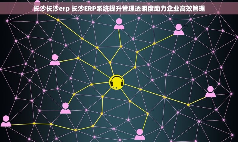 长沙长沙erp 长沙ERP系统提升管理透明度助力企业高效管理