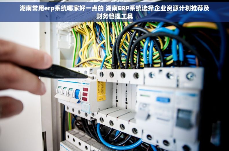 湖南常用erp系统哪家好一点的 湖南ERP系统选择企业资源计划推荐及财务管理工具