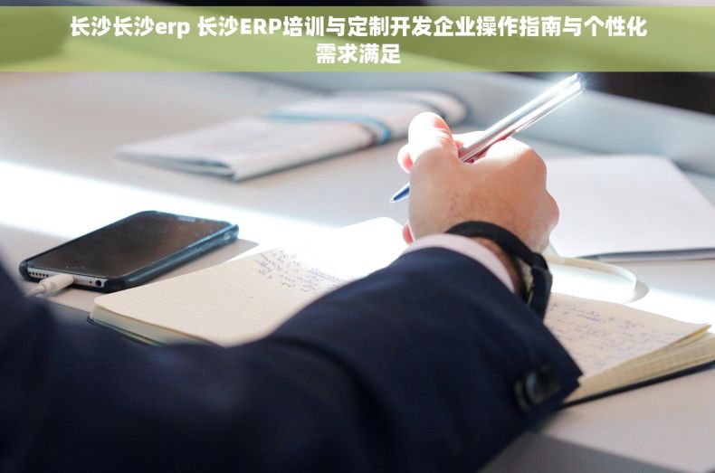 长沙长沙erp 长沙ERP培训与定制开发企业操作指南与个性化需求满足