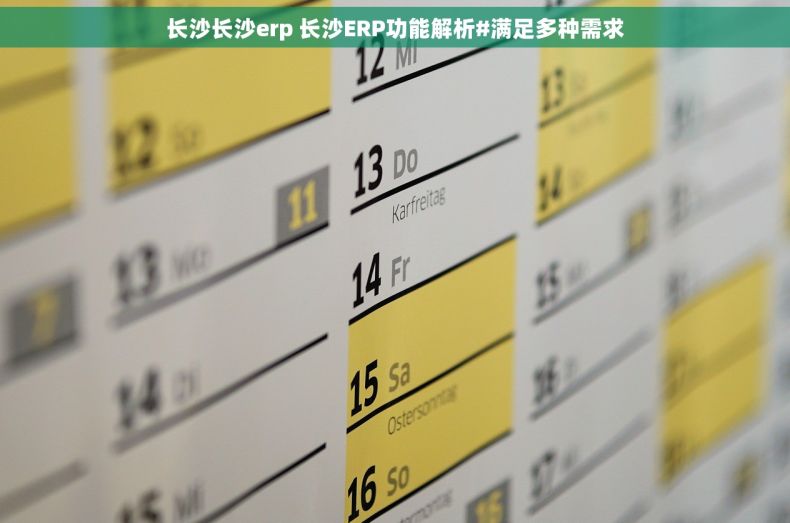 长沙长沙erp 长沙ERP功能解析#满足多种需求