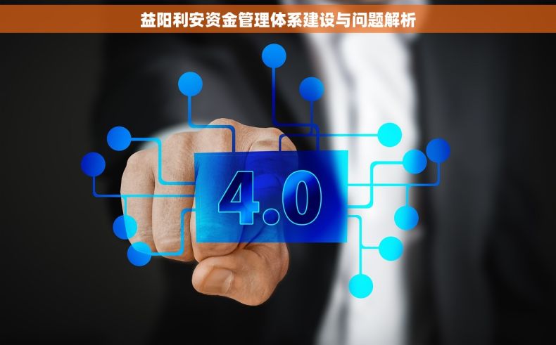 益阳利安资金管理体系建设与问题解析