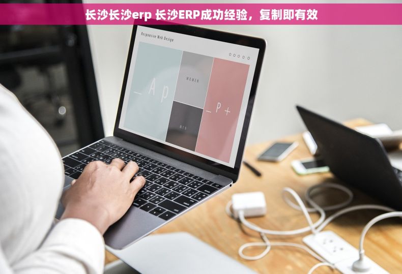 长沙长沙erp 长沙ERP成功经验，复制即有效