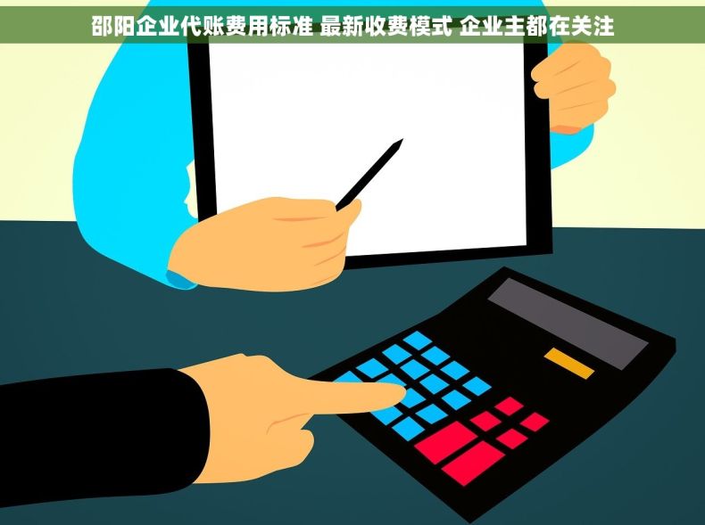 邵阳企业代账费用标准 最新收费模式 企业主都在关注