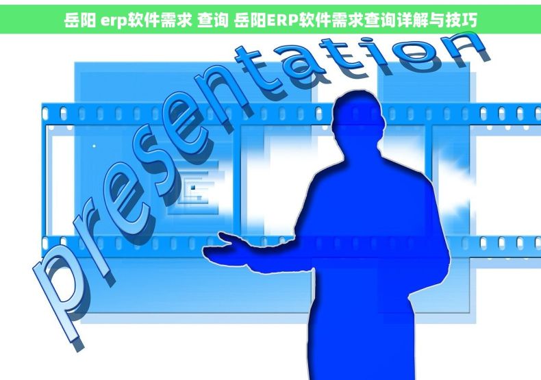 岳阳 erp软件需求 查询 岳阳ERP软件需求查询详解与技巧