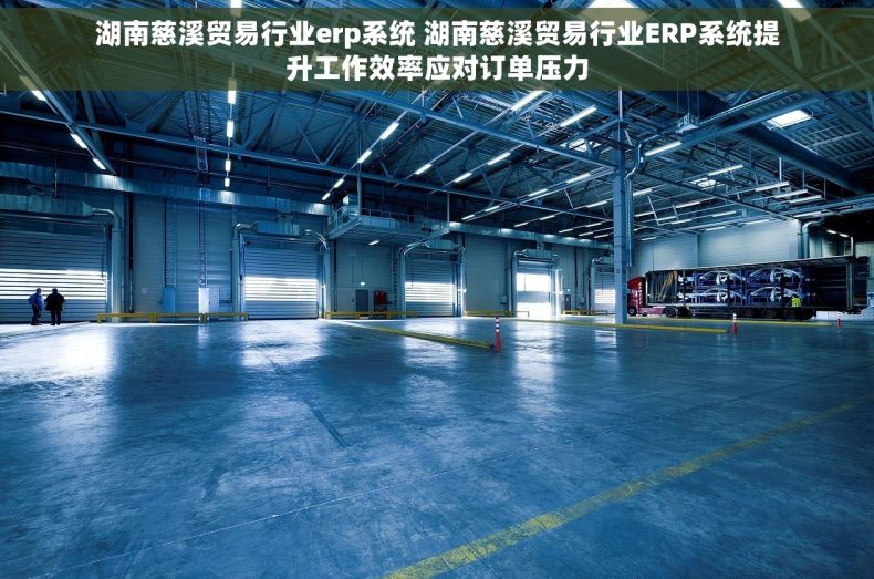 湖南慈溪贸易行业erp系统 湖南慈溪贸易行业ERP系统提升工作效率应对订单压力