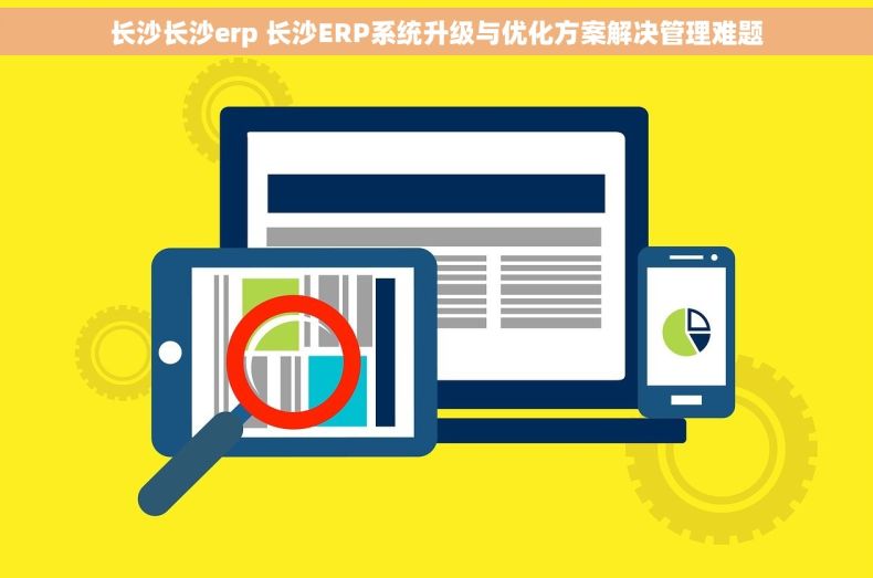长沙长沙erp 长沙ERP系统升级与优化方案解决管理难题