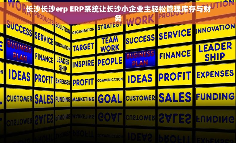 长沙长沙erp ERP系统让长沙小企业主轻松管理库存与财务