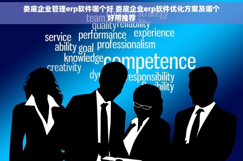 娄底企业管理erp软件哪个好 娄底企业erp软件优化方案及哪个好用推荐