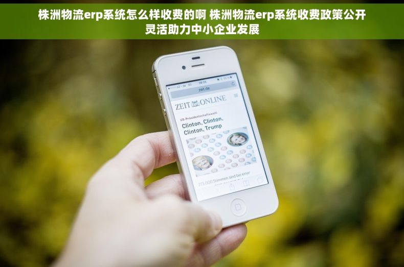 株洲物流erp系统怎么样收费的啊 株洲物流erp系统收费政策公开灵活助力中小企业发展