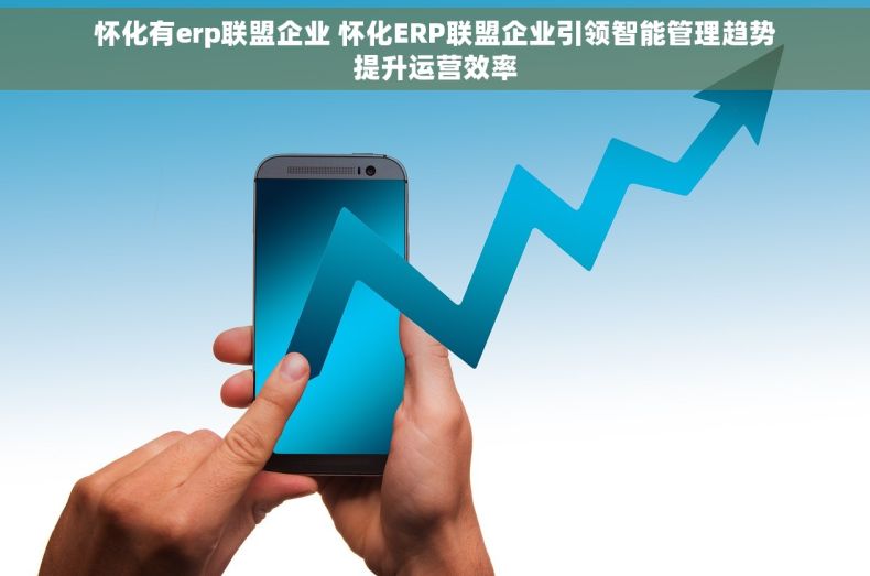 怀化有erp联盟企业 怀化ERP联盟企业引领智能管理趋势提升运营效率