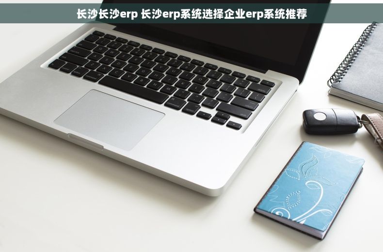 长沙长沙erp 长沙erp系统选择企业erp系统推荐