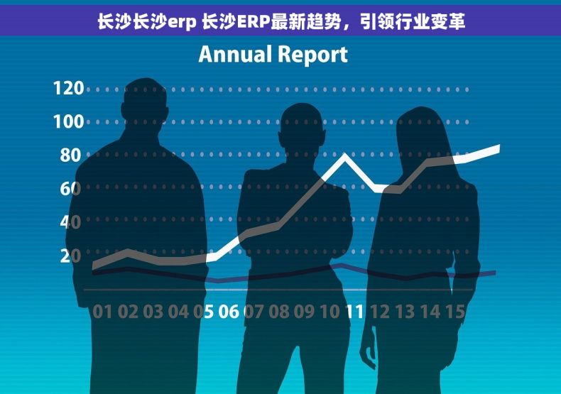 长沙长沙erp 长沙ERP最新趋势，引领行业变革