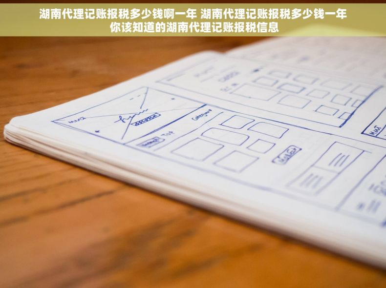 湖南代理记账报税多少钱啊一年 湖南代理记账报税多少钱一年 你该知道的湖南代理记账报税信息
