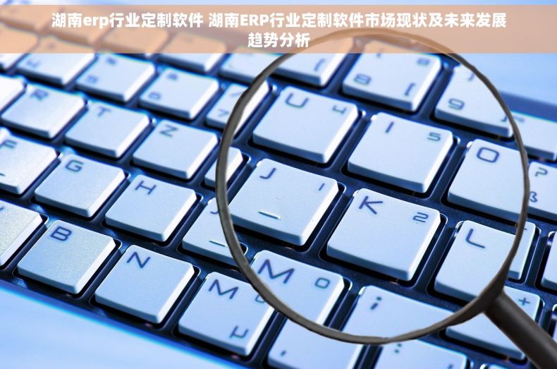 湖南erp行业定制软件 湖南ERP行业定制软件市场现状及未来发展趋势分析
