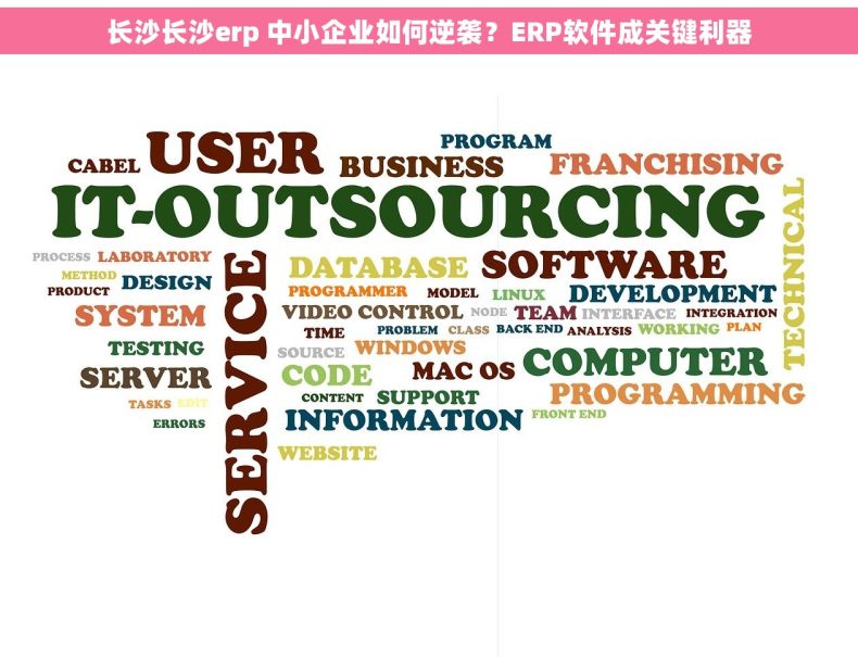 长沙长沙erp 中小企业如何逆袭？ERP软件成关键利器