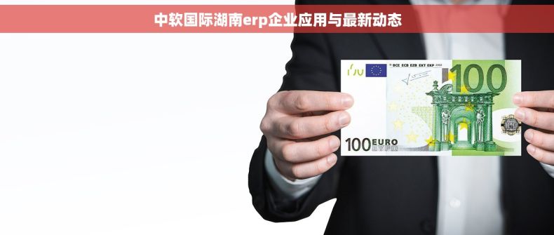 中软国际湖南erp企业应用与最新动态