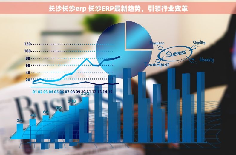 长沙长沙erp 长沙ERP最新趋势，引领行业变革