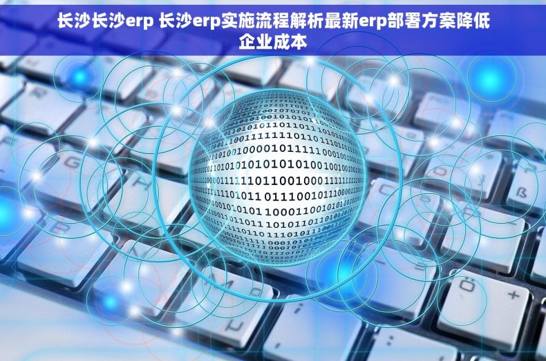 长沙长沙erp 长沙erp实施流程解析最新erp部署方案降低企业成本