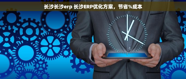 长沙长沙erp 长沙ERP优化方案，节省%成本