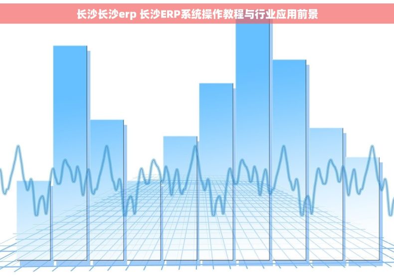 长沙长沙erp 长沙ERP系统操作教程与行业应用前景