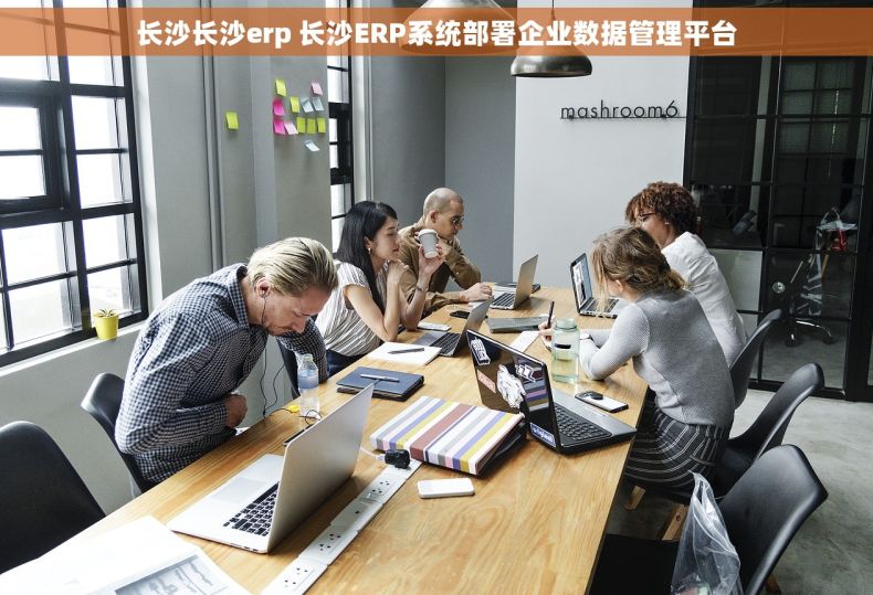 长沙长沙erp 长沙ERP系统部署企业数据管理平台