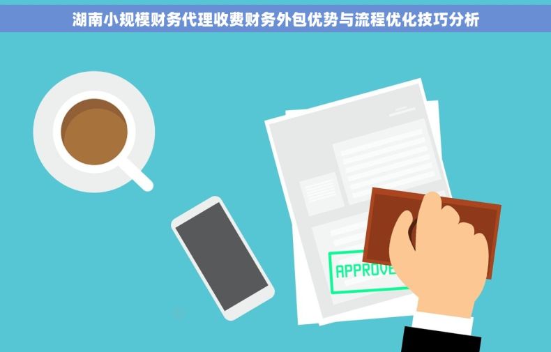 湖南小规模财务代理收费财务外包优势与流程优化技巧分析