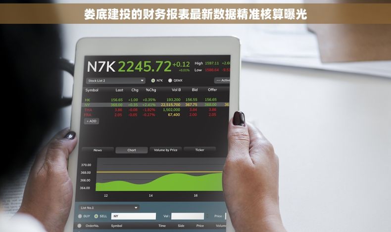 娄底建投的财务报表最新数据精准核算曝光