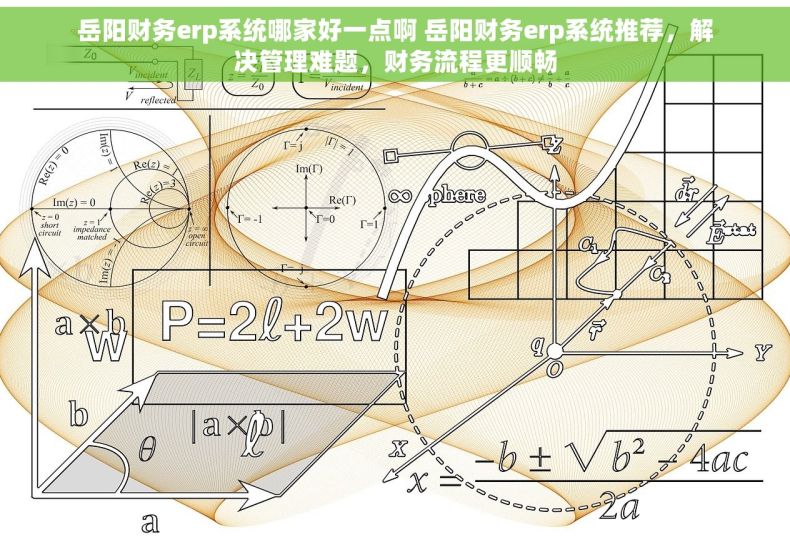 岳阳财务erp系统哪家好一点啊 岳阳财务erp系统推荐，解决管理难题，财务流程更顺畅