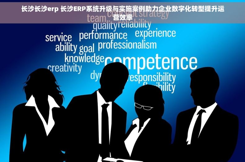 长沙长沙erp 长沙ERP系统升级与实施案例助力企业数字化转型提升运营效率