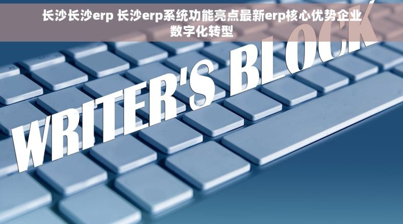 长沙长沙erp 长沙erp系统功能亮点最新erp核心优势企业数字化转型