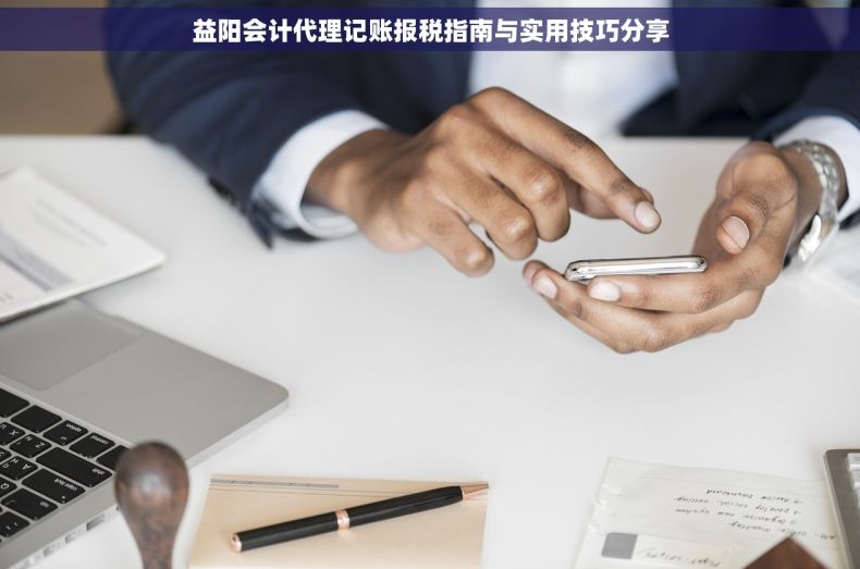 益阳会计代理记账报税指南与实用技巧分享