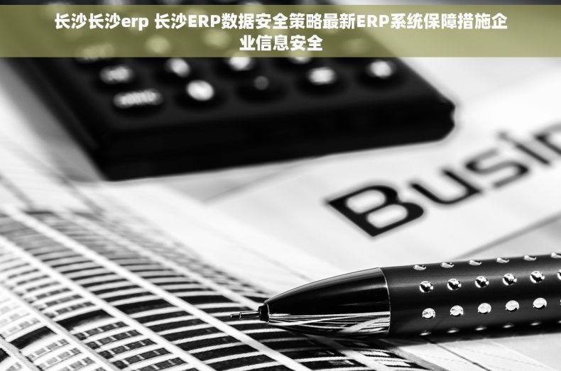 长沙长沙erp 长沙ERP数据安全策略最新ERP系统保障措施企业信息安全