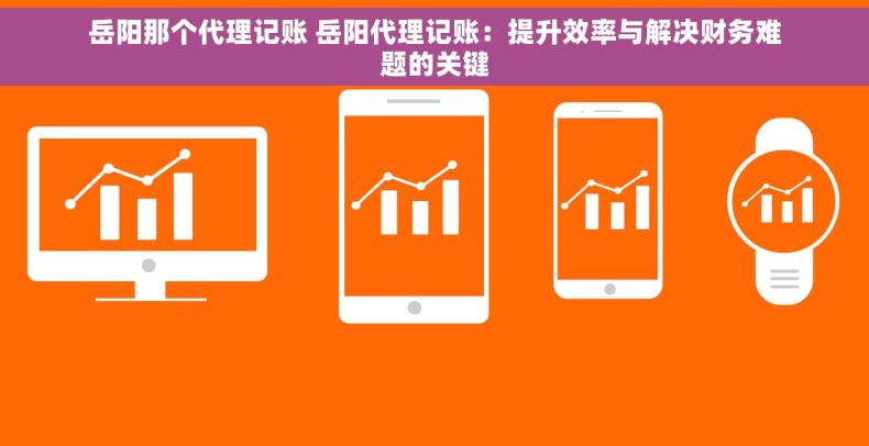 岳阳那个代理记账 岳阳代理记账：提升效率与解决财务难题的关键