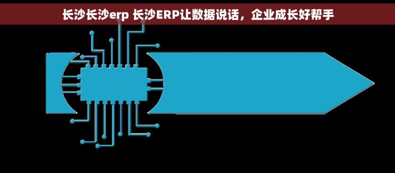 长沙长沙erp 长沙ERP让数据说话，企业成长好帮手