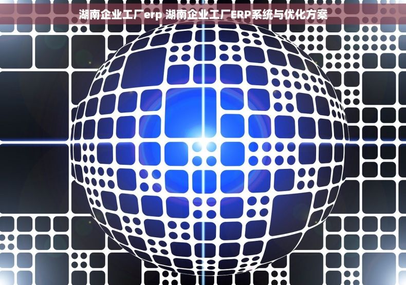 湖南企业工厂erp 湖南企业工厂ERP系统与优化方案