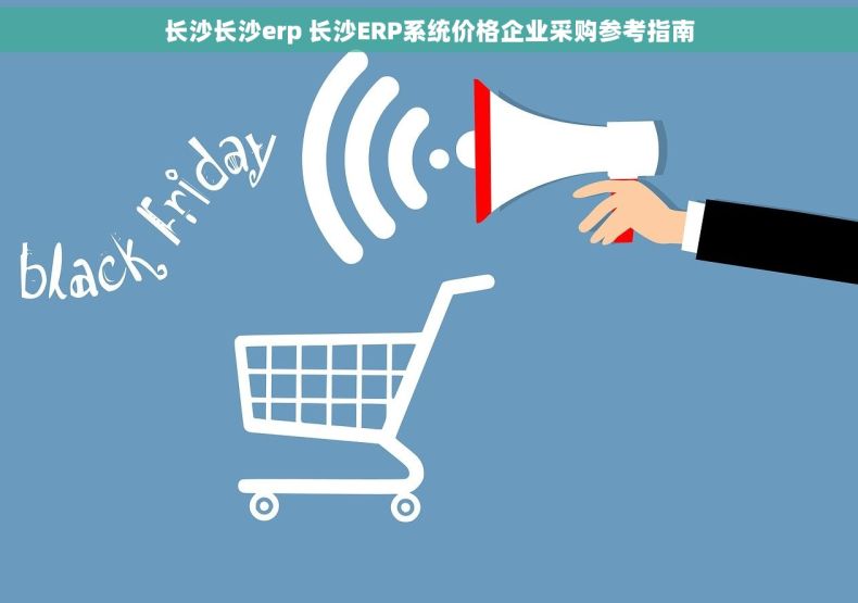 长沙长沙erp 长沙ERP系统价格企业采购参考指南