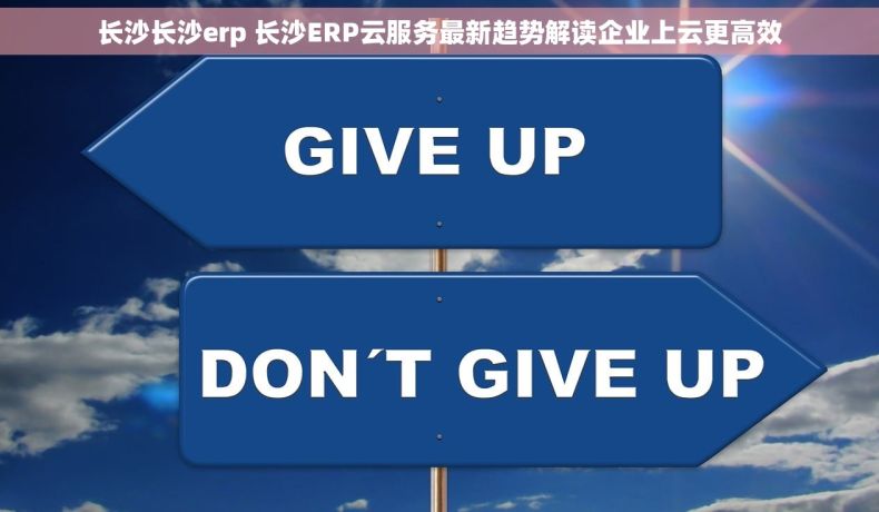 长沙长沙erp 长沙ERP云服务最新趋势解读企业上云更高效