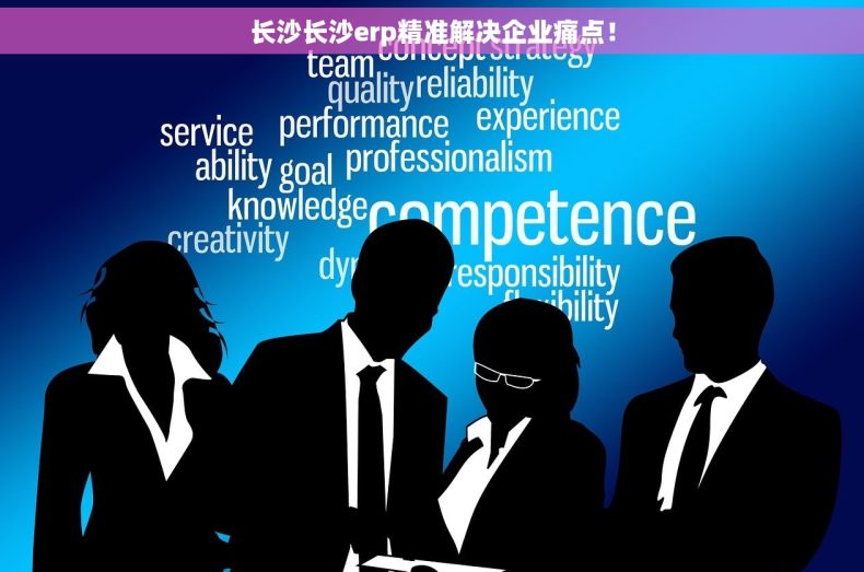 长沙长沙erp精准解决企业痛点！