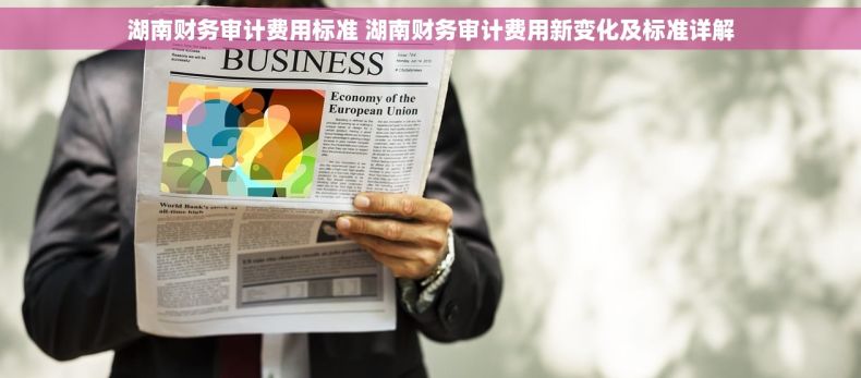 湖南财务审计费用标准 湖南财务审计费用新变化及标准详解