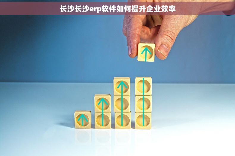 长沙长沙erp软件如何提升企业效率