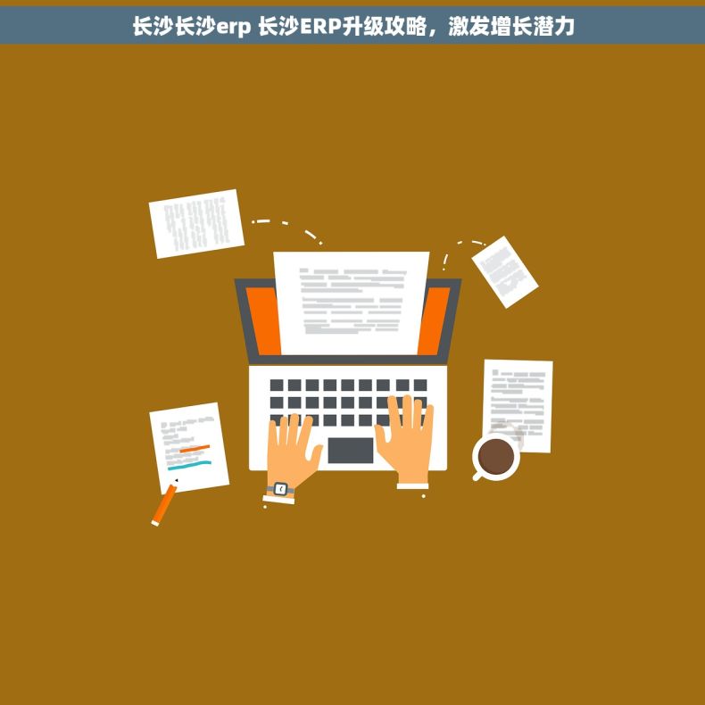 长沙长沙erp 长沙ERP升级攻略，激发增长潜力