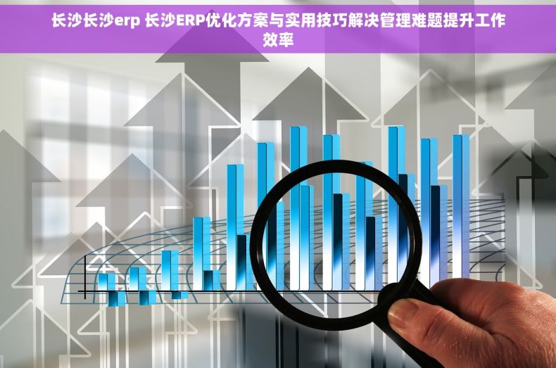 长沙长沙erp 长沙ERP优化方案与实用技巧解决管理难题提升工作效率