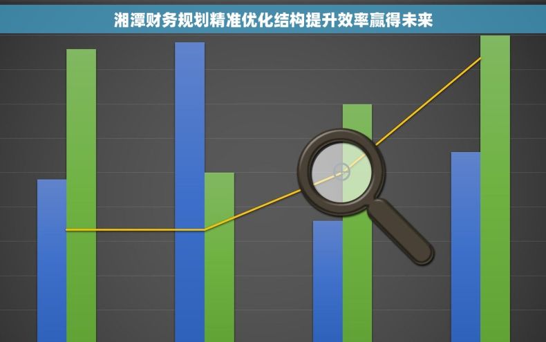 湘潭财务规划精准优化结构提升效率赢得未来