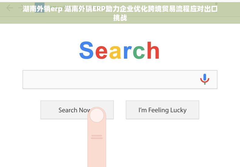 湖南外销erp 湖南外销ERP助力企业优化跨境贸易流程应对出口挑战